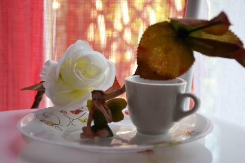 Bed & Breakfast Fable