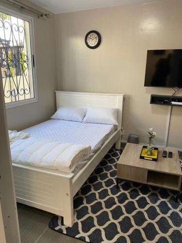 Vicarhomes2