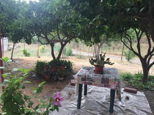 Apartamento Casa Brandino Pani