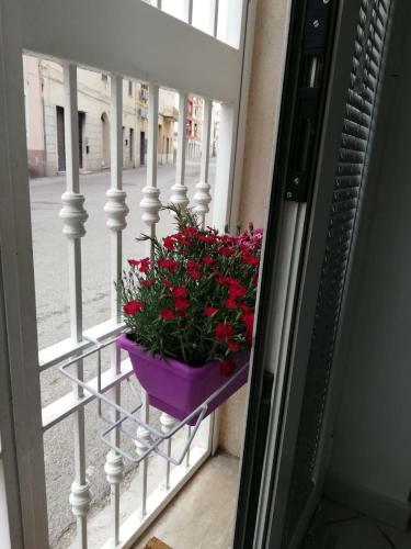 Apartamento L'angolo Del Mare