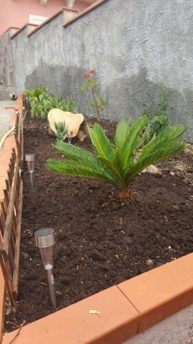 La Casa Rosa-the Pink House