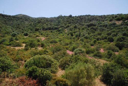 Bed & Breakfast I Ginepri