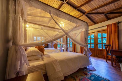 Chimpundu Lodge