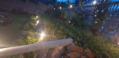 Fort Heights Homestay