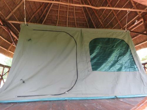 Hotel Jungle Lodge