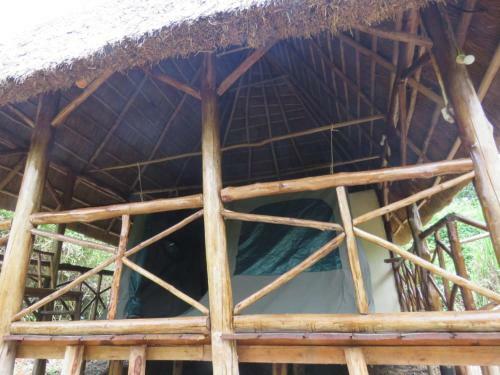 Hotel Jungle Lodge