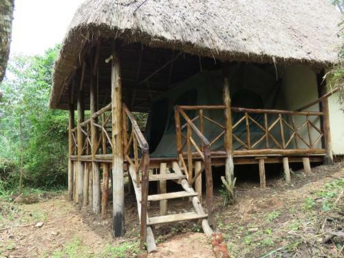 Hotel Jungle Lodge