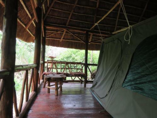 Hotel Jungle Lodge