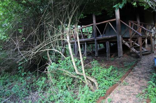 Hotel Jungle Lodge