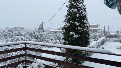 Hostal Villa Ulivi