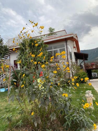 Hostal Villa Ulivi