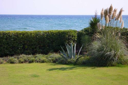 House At The Beach