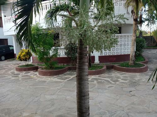 Palmblue Villa