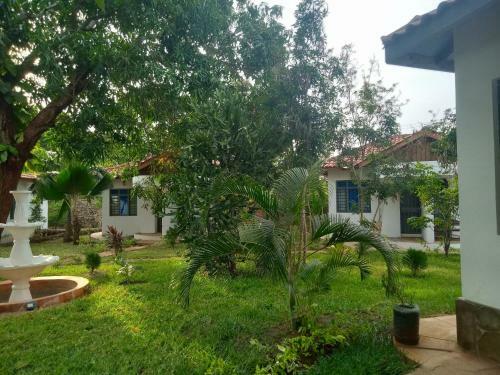 Hotel Cycad Palm Villa