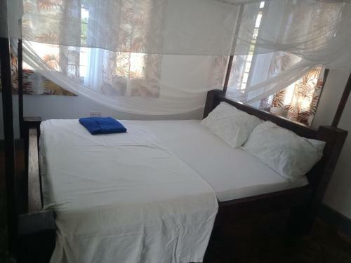Hotel Cycad Palm Villa
