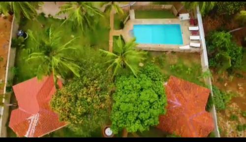 Hotel Cycad Palm Villa