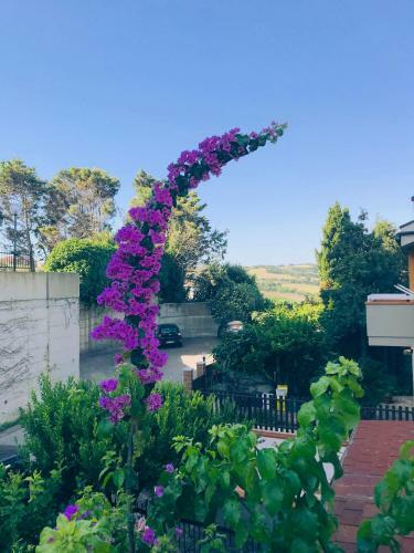 Bed & Breakfast Le Stanze Di Botticelli