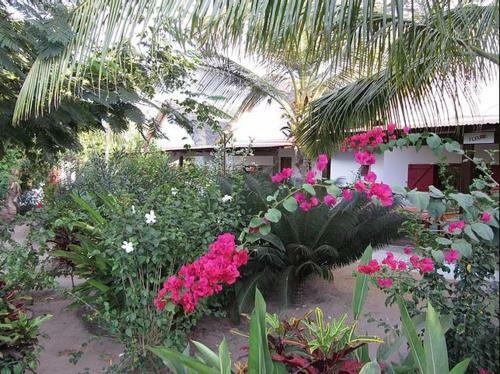 Bed & Breakfast Au Ptit Bonheur