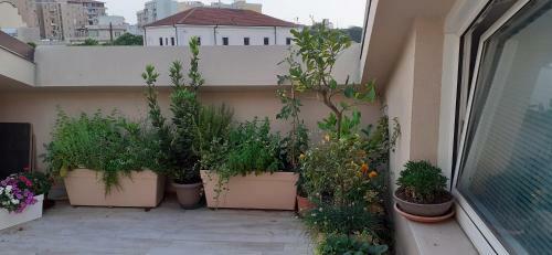 Apartamento Il Patio Sospeso