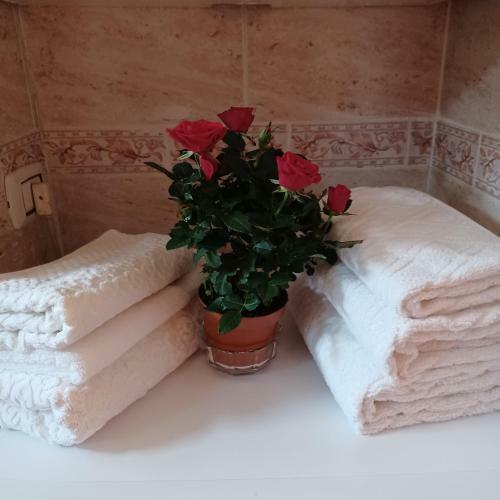 Apartamento Il Roseto