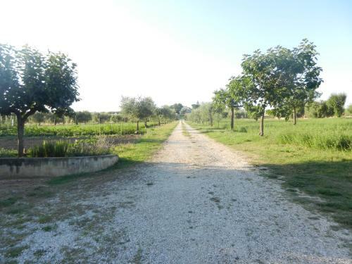 Apartamento Il Gheriglio