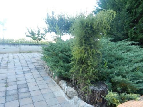 Apartamento Il Gheriglio
