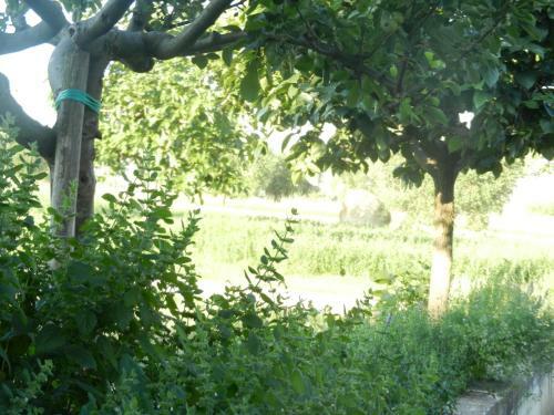 Apartamento Il Gheriglio