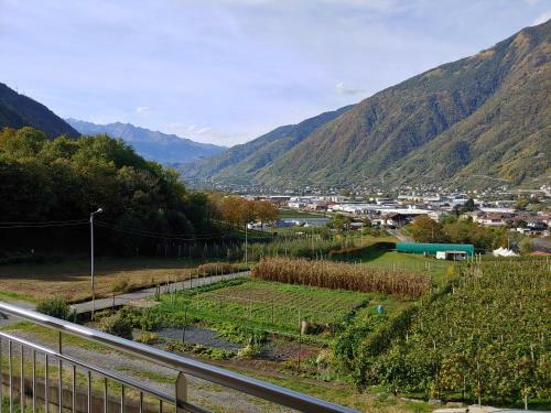 Apartamento Pisolo Selvaggio
