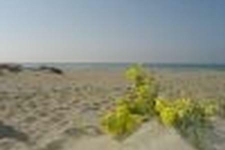 Apartamento Sea Beach Relax