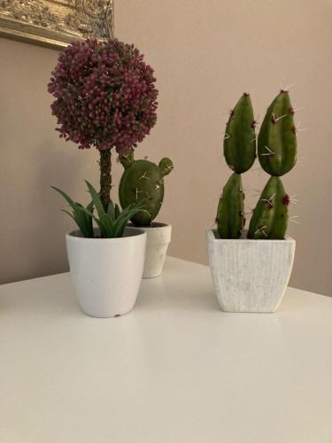 Apartamento Casa- Corso Umberto