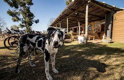 Apartamento Garden Route Trail Park