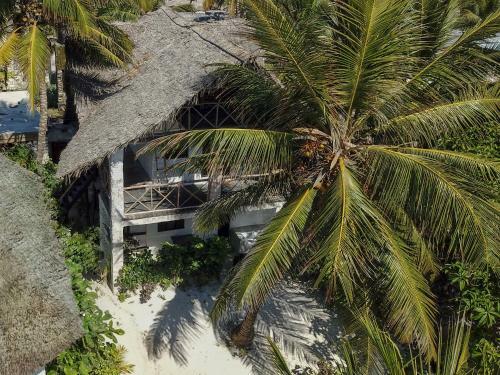 Hotel Hebe Bungalows Lodge
