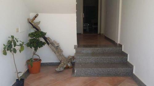 Apartamento Residence Sterne