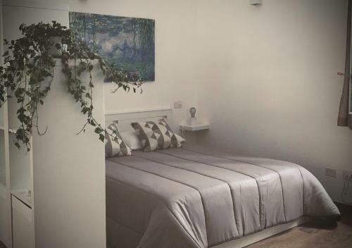 Bed & Breakfast Satyria Apartments