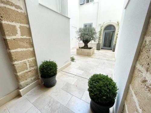 Bed & Breakfast L?ulivo