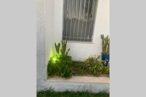 Villa Dar Nacib En Tunisie