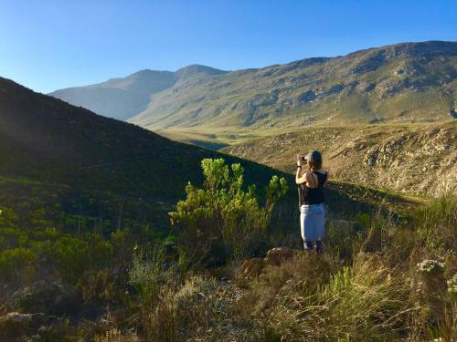 Little Karoo Dream