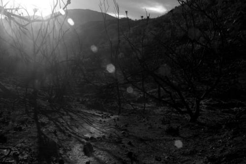 Little Karoo Dream