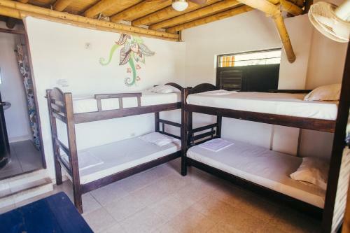 Hostal La Tortuga Hostel