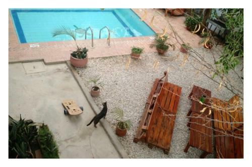 Hostal La Tortuga Hostel