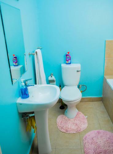 Comfortable Apartment Near Foxdale Court