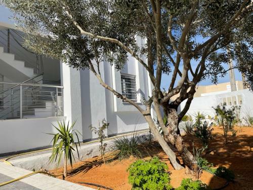 Apartamento Ines Residence