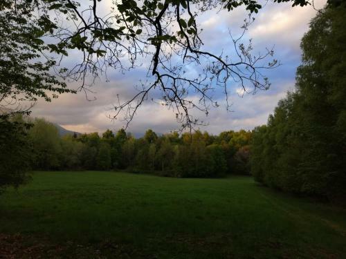 Beatamente B&B Olistico