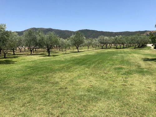 Hostal Borgo Albador