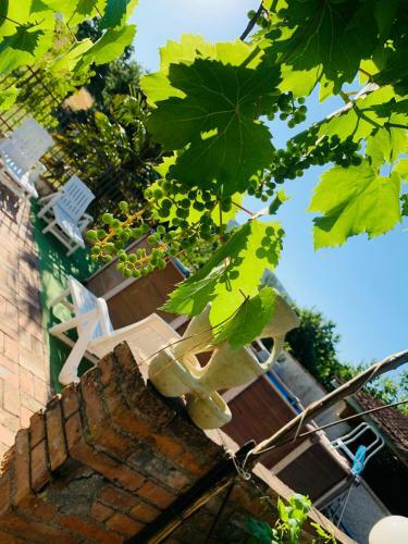 Bed & Breakfast La Maison