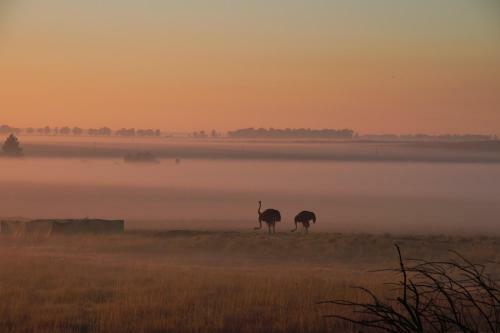 Hostal Grasslands Conference And Wedding Venue