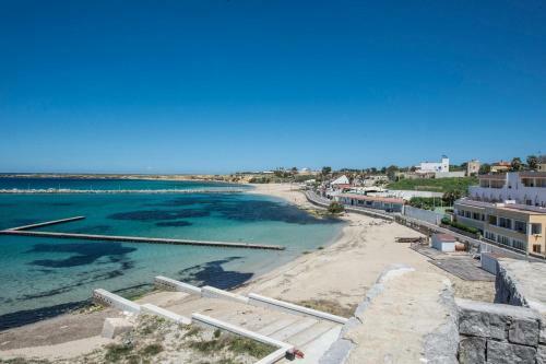 Salsedine