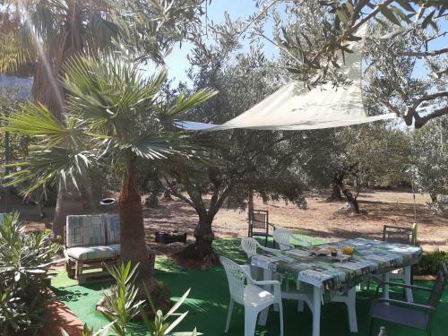 Bed & Breakfast Casanonnavittoria