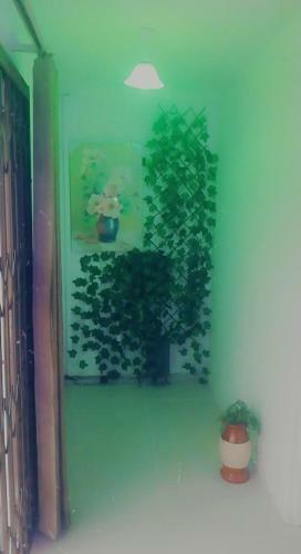 Hostal Mukwano Guest House Benoni