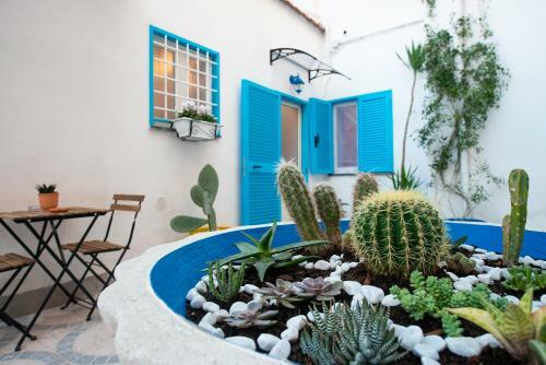 Light Blue - Apartment In The Middle Of Everything